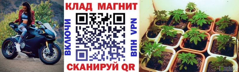 Купить наркотики сайты Нестеровская ГЕРОИН  Альфа ПВП  kraken рабочий сайт  Меф мяу мяу  Cocaine  Конопля 