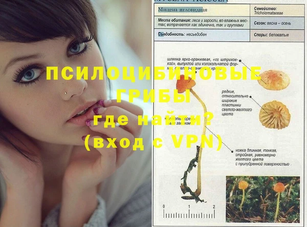 ALPHA PVP Балабаново